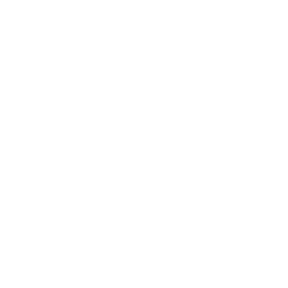 S4 Accelerator